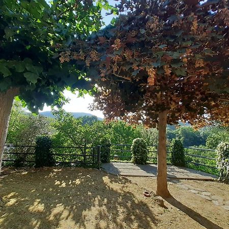 Villa Le Palmine Palazzone Zewnętrze zdjęcie