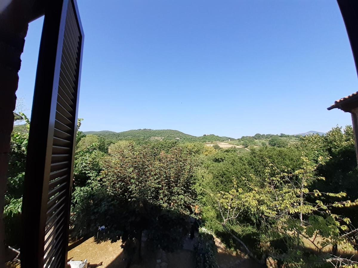 Villa Le Palmine Palazzone Zewnętrze zdjęcie