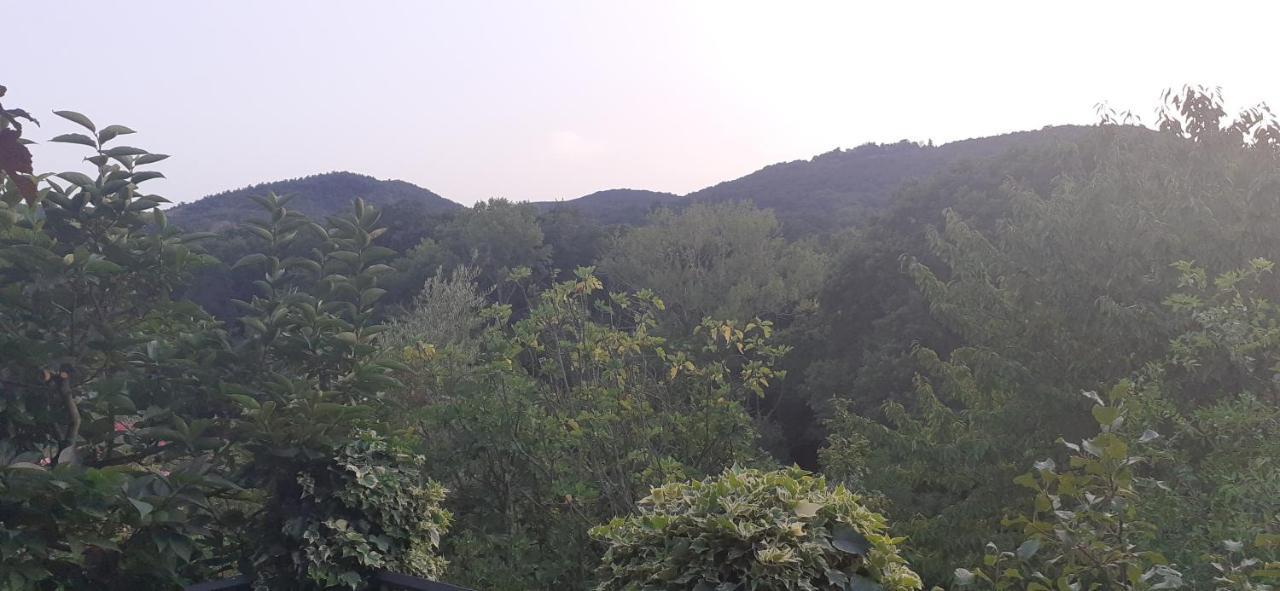 Villa Le Palmine Palazzone Zewnętrze zdjęcie