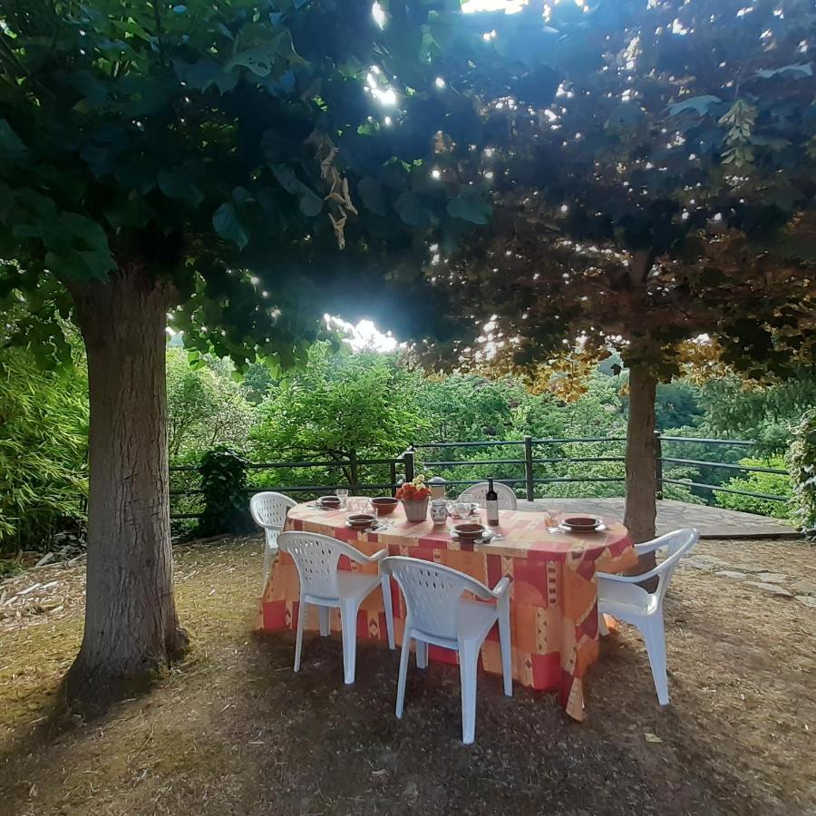 Villa Le Palmine Palazzone Zewnętrze zdjęcie