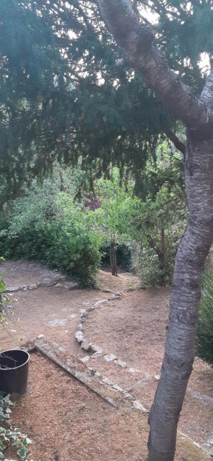 Villa Le Palmine Palazzone Zewnętrze zdjęcie