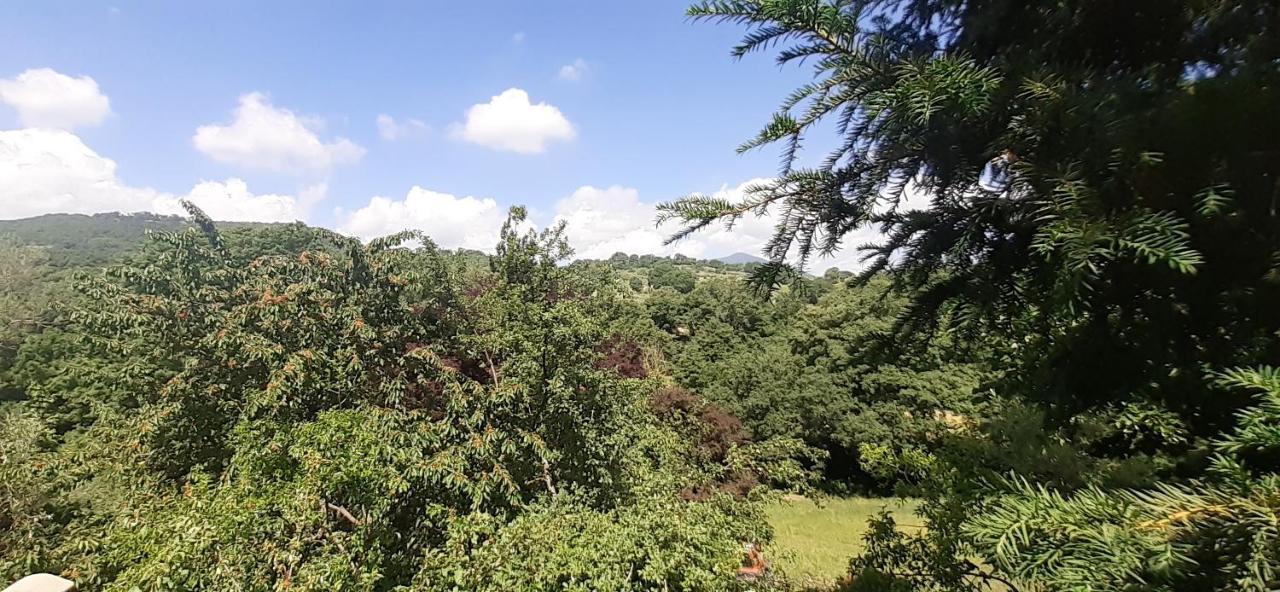 Villa Le Palmine Palazzone Zewnętrze zdjęcie
